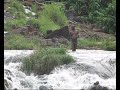 Les chutes de Kribi, Cameroun