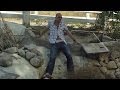 Destiny- Willie Ray Lewis Remix by Clint Crisher