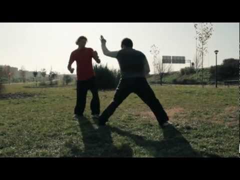 kung fu fight See video