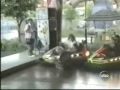 choques realmente graciosos!!!!!!!