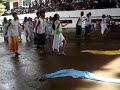 IV-SSC: The Real Champs in our Hearts