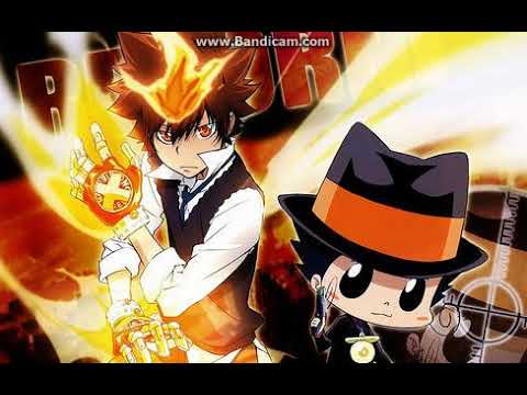 動画