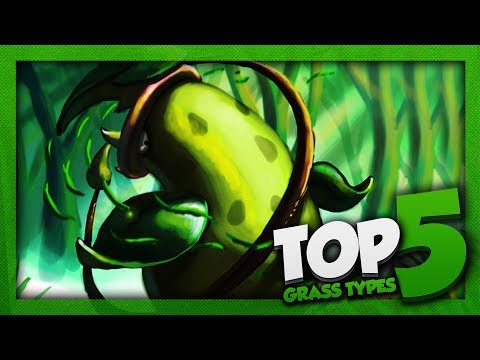 Pokémon Top 5 -
