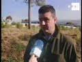 M. Ambiente atribuye suelta visones a grupo ecologista radical