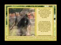 ENTRENAMIENTO CANINO