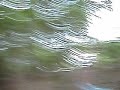 Getting Chased Through Woods.