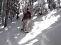 Snowboarding thru trees, Vail, Colorado, Jan 2006