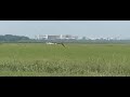Buizerd ziet me aankomen Buizerd ziet me aankomen