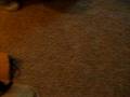 videos de Try to Give Taijhana a wedgie