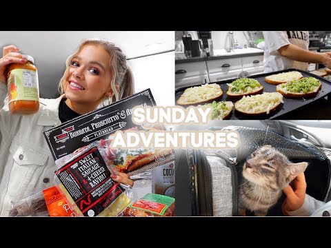 Trader Joe's Shopping + Haul, Bailey Get's Surgery & Fancy Grilled Cheese Night