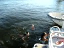 Dock Jumping 8/31/08