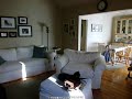 Spying on my cat while I\ Spying on my cat while I\
