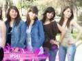 Candidatas IPSEL 2008