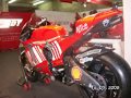 Les Fous de Ducat au GP de France