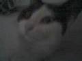 A moment with CUPCAKE! XD