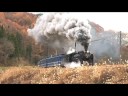 SL??120??? D51498