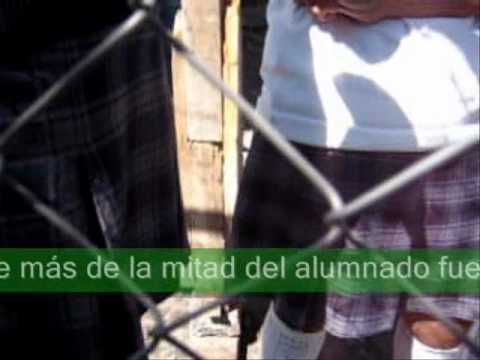 falditas