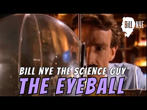 eyeball - Take a look... with your eye. You'll see how it works. You'll see things right side up that start out upside down. It's a quick trick your brain pulls. Your ...