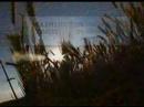 Celebrate Earth Day: Re-Elect Chris Gregoire