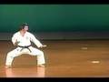 Meibuken Genbu Kata -- Meibukan: Meitatsu Yagi
