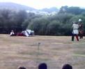 Fighting Knights