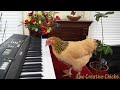 Chicken Plays Opera