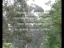 videos de Snow in Upwey Victoria