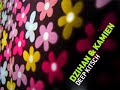 Dzihan & Kamien - Deep Kitsch [lounge / deephouse]