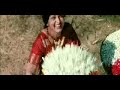 Veteran actress Bharathi in a beautiful song from 