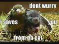funny pics part 34