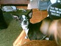 Thumbnail #1