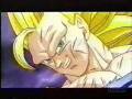 DragonballZ Goku-Hero