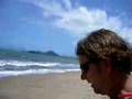 Palm Cove Beach North Eastern Australia