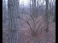 Video0004,,