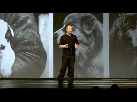 bike sales bike sales