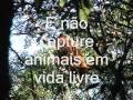 CAMPANHA BUGIO