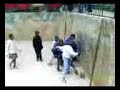 Children of heaven -Haiti- II Children of heaven -Haiti- II