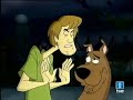 A desvirgar a shaggy hueco