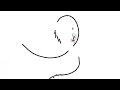 BliZarD - Preview BliZarD - Preview