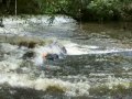 sierra leone - wild lifestyle
