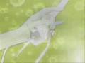 videos de Inuyasha and TMM- Pocketful of Sunshine Speedup