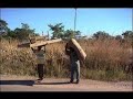 Zimbabwe music-Ndofamba nediaspora(Diaspora trotting) Viomak
