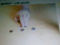 Re: Are you a genius? - coin puzzle