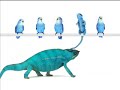 Telus - Find Me