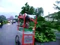 Akibat Bencana Angin Kecang Akibat Bencana Angin Kecang