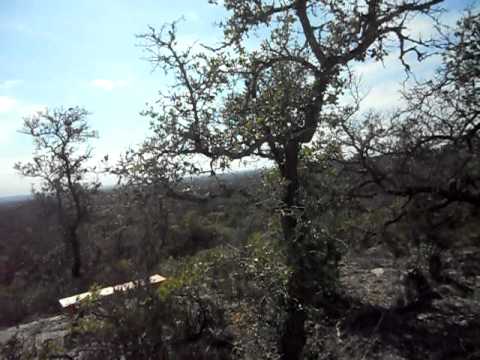 12.06 acres Spring Branch, TX