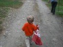 Alex helps pick apples Alex helps pick apples