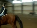 Raw Clips for xowildhorsesxo