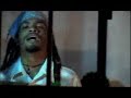 Raices y Cultura - Little Brother