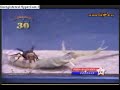scorpion vs hornet scorpion vs hornet